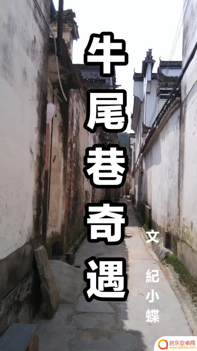 南阳公主抖音小说(南阳公主的小说)