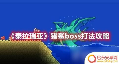 泰拉瑞亚海边boss 《泰拉瑞亚》猪鲨boss打法攻略
