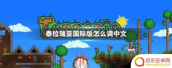 泰拉瑞亚国际版如何调中文 泰拉瑞亚国际版如何设置中文