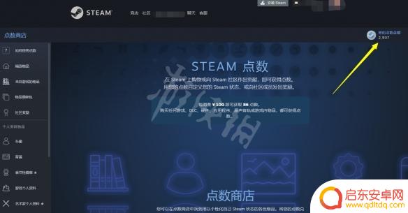 steam点数余额有什么用 Steam点数的使用方法详解