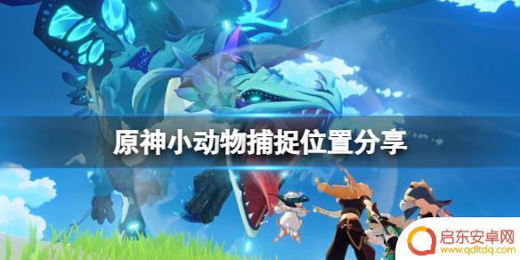 原神抓动物地点 《原神》小动物捕捉位置图鉴