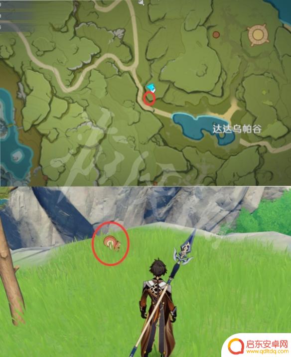 原神抓动物地点 《原神》小动物捕捉位置图鉴