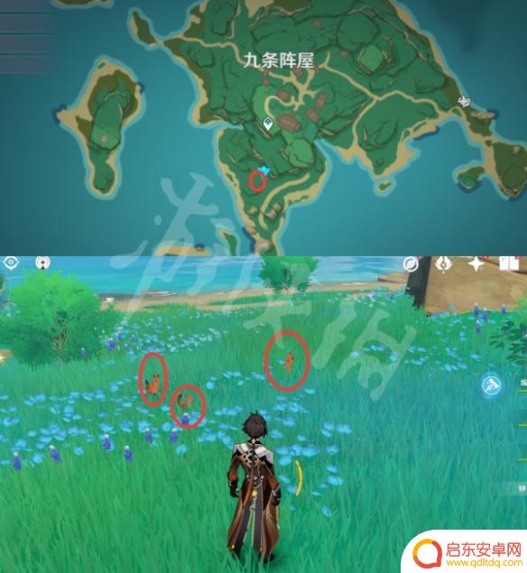 原神抓动物地点 《原神》小动物捕捉位置图鉴