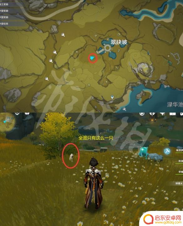 原神抓动物地点 《原神》小动物捕捉位置图鉴