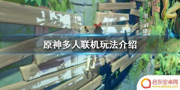 原神多人游戏模式 原神多人联机合作玩法介绍