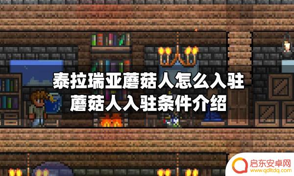 泰拉瑞亚1蘑菇人 泰拉瑞亚蘑菇人入驻要求
