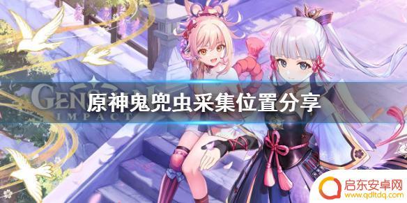 原神鬼虫 《原神》鬼兜虫捕捉攻略及位置分享