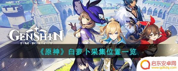 原神里哪里有白萝卜 原神白萝卜采集位置