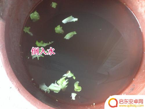 手机垃圾桶如何清洗 垃圾桶清洗的正确方法