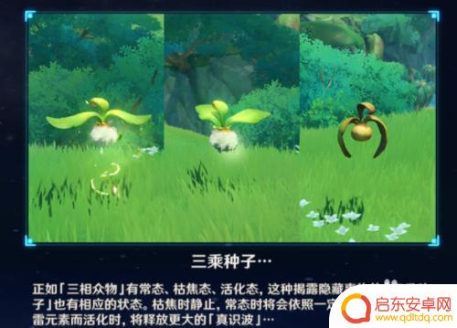 原神破碎火炬怎么点燃 原神破碎的火炬怎么使用