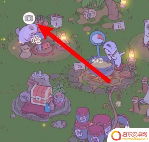 猫咪和汤怎么拍全景 猫和汤怎么拍照技巧