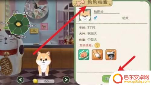 小森生活怎么养宠物狗 小森生活宠物狗怎么养成
