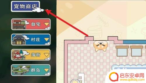 小森生活怎么养宠物狗 小森生活宠物狗怎么养成