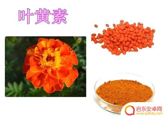 小心!看手机会导致“视频终端综合征”