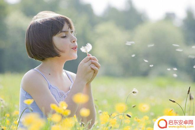 蒲公英手机怎么拍摄照片 如何用摄影表现蒲公英的美感和意境