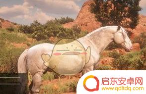 荒野大镖客2 怎么呼叫马(荒野大镖客2怎么呼叫马车)