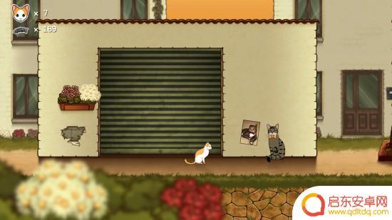 猫的遗产steam(猫的遗产steam多少钱)