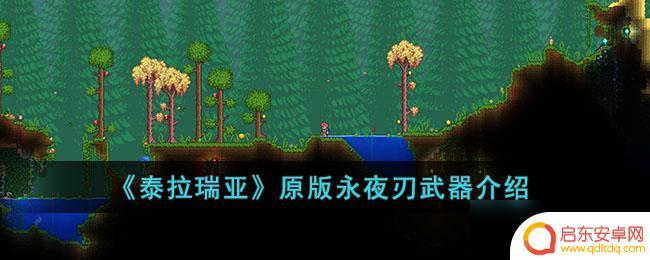 泰拉瑞亚永夜刀有什么用 泰拉瑞亚原版永夜刃攻击力