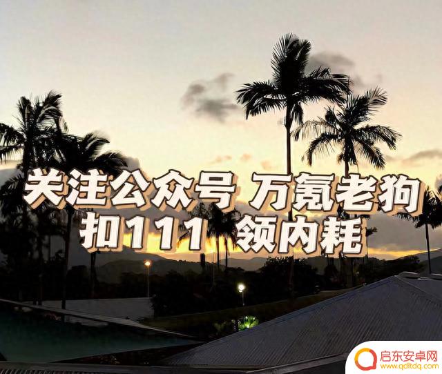 《飞吧龙骑士》最新兑换码大全 兑换码2023