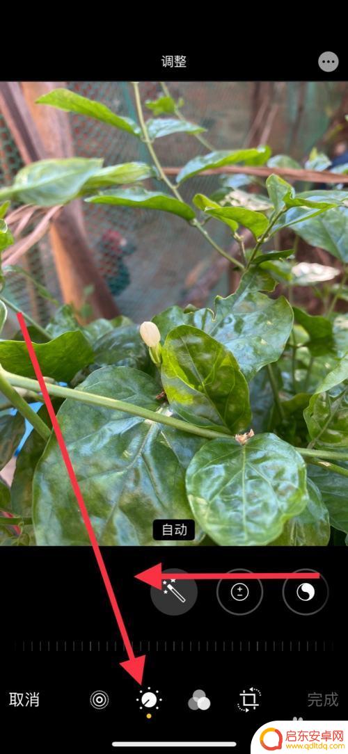 手机图像怎么调亮度好 iPhone手机照片亮度调节方法