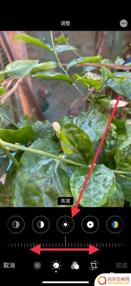 手机图像怎么调亮度好 iPhone手机照片亮度调节方法