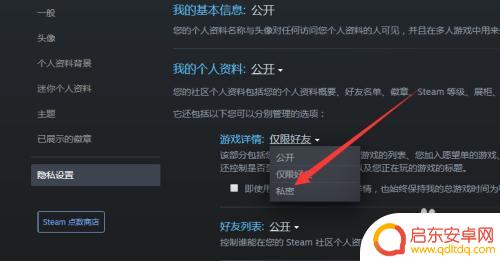 steam怎么让别人看不到你玩的游戏 steam怎么让好友看不到我在玩什么游戏