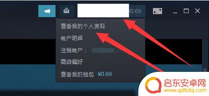 steam怎么让别人看不到你玩的游戏 steam怎么让好友看不到我在玩什么游戏