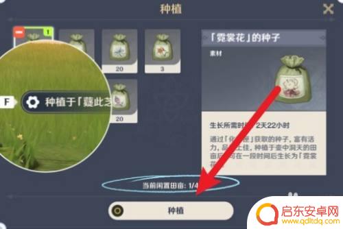 原神怎么或的种子 原神种子种植技巧