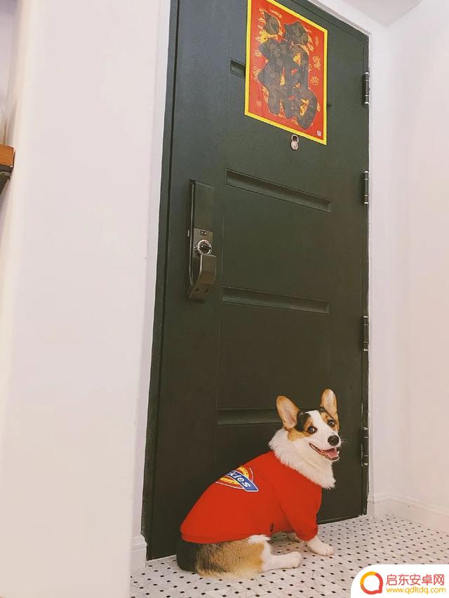 抖音那些香港配音(抖音那些香港配音是真的吗)