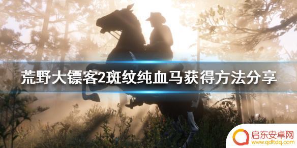 荒野大镖客2斑纹纯血马怎么样 《荒野大镖客2》斑纹纯血马获得方法分享