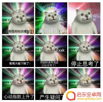 痴呆表情抖音博主(痴呆表情抖音博主是谁)