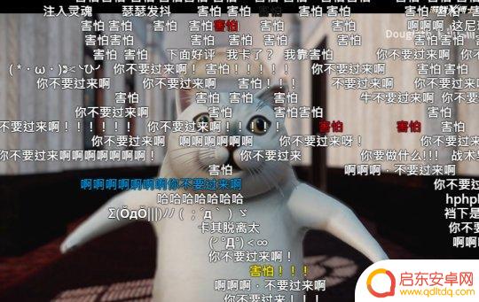 痴呆表情抖音博主(痴呆表情抖音博主是谁)