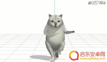 痴呆表情抖音博主(痴呆表情抖音博主是谁)