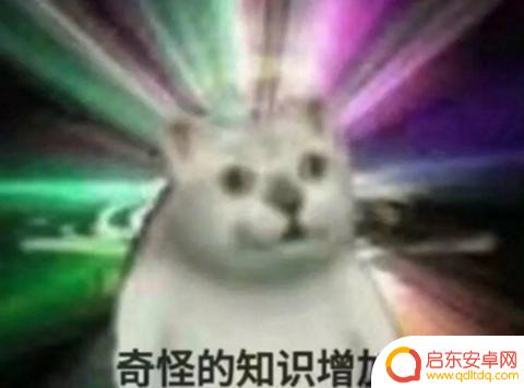 痴呆表情抖音博主(痴呆表情抖音博主是谁)