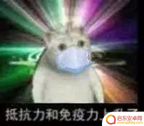 痴呆表情抖音博主(痴呆表情抖音博主是谁)