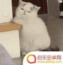 痴呆表情抖音博主(痴呆表情抖音博主是谁)
