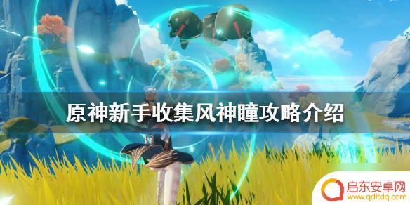 原神神瞳如何快速收集 原神新手如何快速收集风神瞳攻略