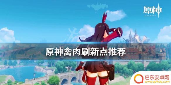 原神去哪里打鸟 《原神》禽肉刷新点在哪里