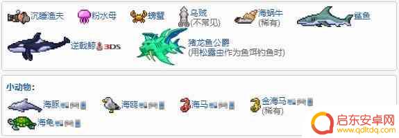 泰拉瑞亚海底世界 泰拉瑞亚海洋生物群落攻略