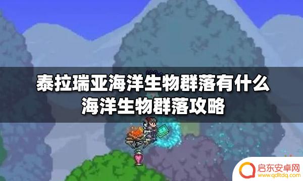 泰拉瑞亚海底世界 泰拉瑞亚海洋生物群落攻略