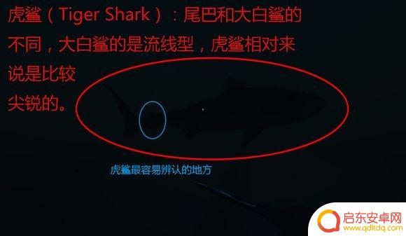 荒岛求生怎么玩啊 荒岛求生新手入门攻略