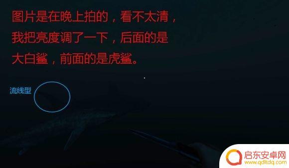 荒岛求生怎么玩啊 荒岛求生新手入门攻略