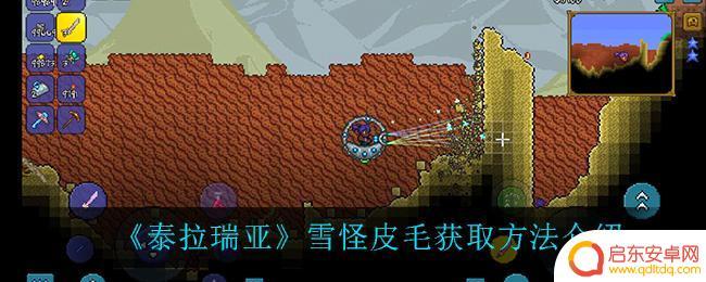 泰拉瑞亚冬季披肩怎么获取 泰拉瑞亚冬季披肩制作方法