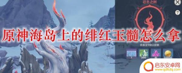 原神小岛的绯红之石怎么捡 原神绯红玉髓在哪个海岛上