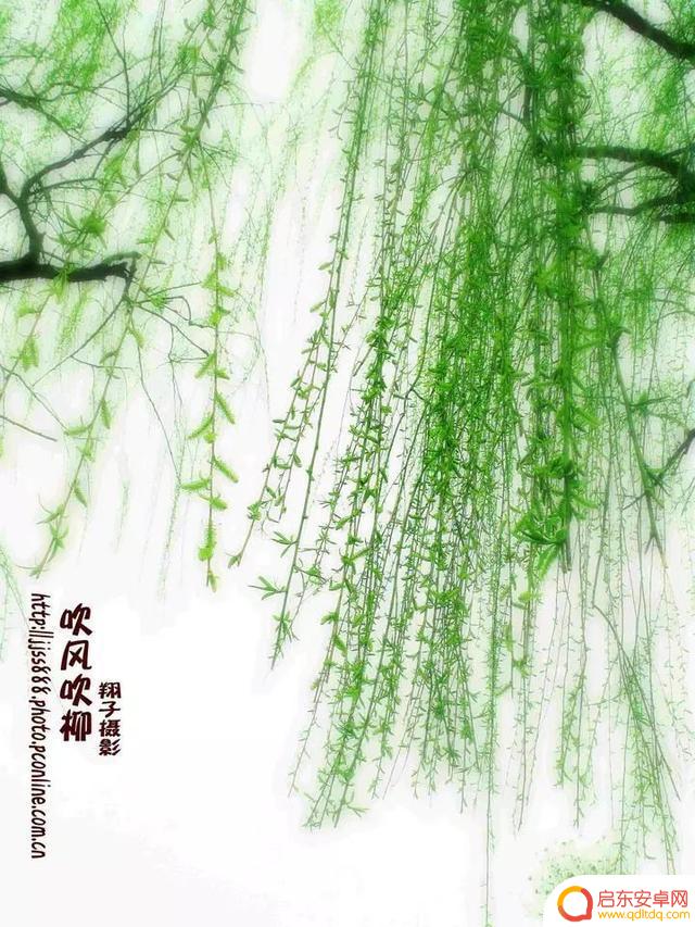 飘逸江南抖音歌曲(妄想山海鸡蛋怎么做)