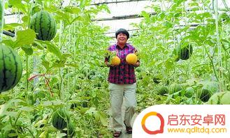 超越梦想 抖音号(超越梦想抖音号是什么)