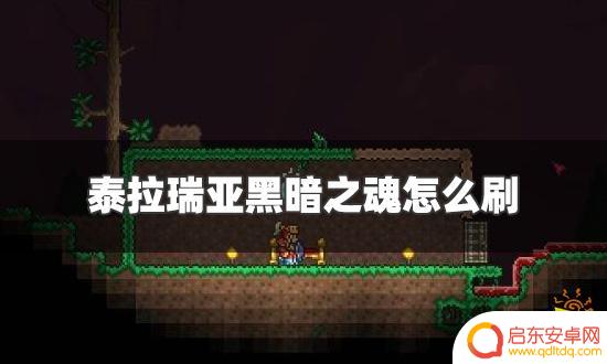 泰拉瑞亚黑暗怎么获得 泰拉瑞亚黑暗之魂获取攻略