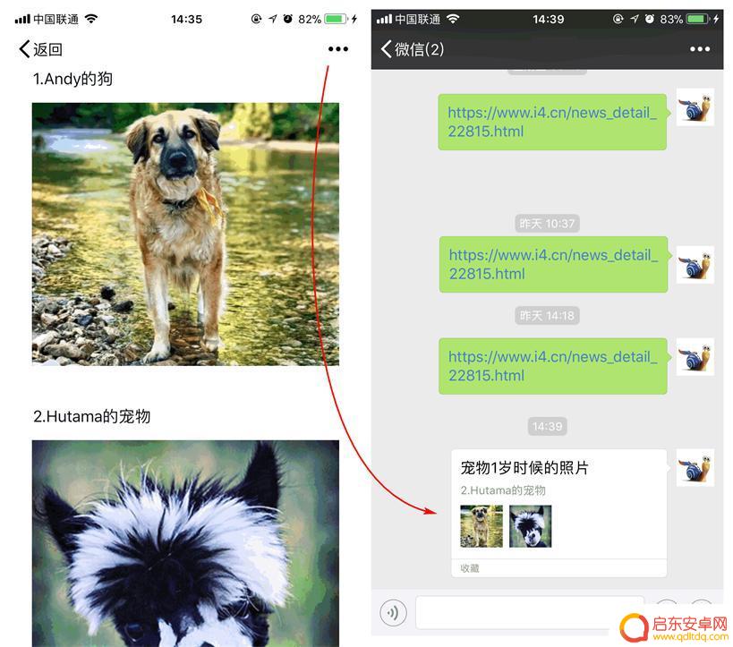 苹果手机微信收藏如何分享 在 iPhone 上高效使用微信收藏功能的技巧