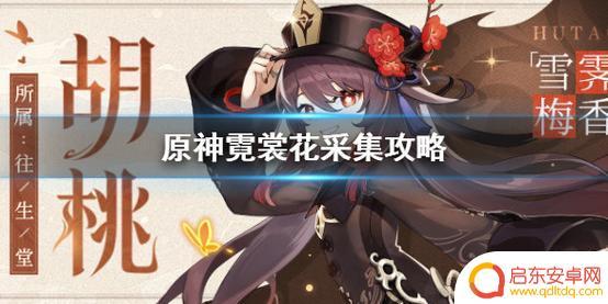 霓裳花原神有什么用 原神霓裳花有什么作用