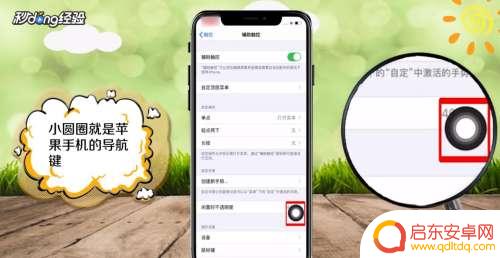 怎样设置苹果手机导航键 苹果导航键在哪里调出来